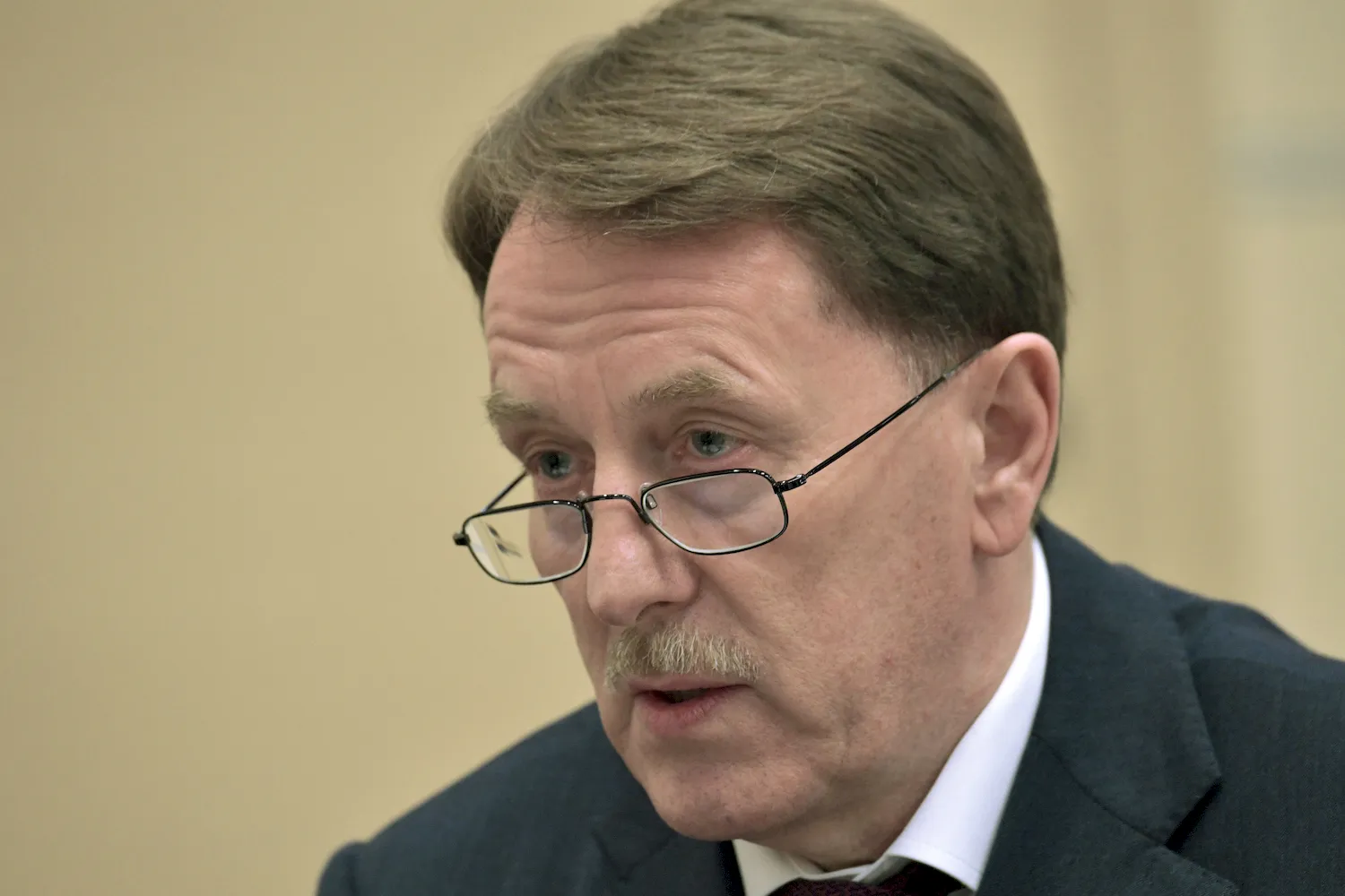 Алексей Гордеев вице-премьер