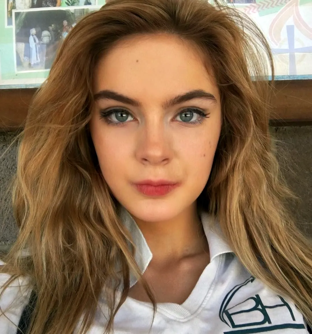 Brighton Sharbino