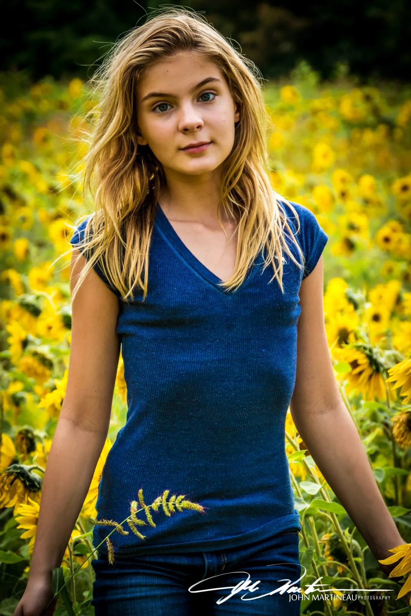 Brighton Sharbino