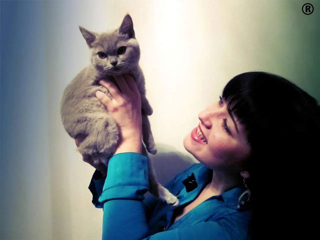 Фото кот Святая Катерина