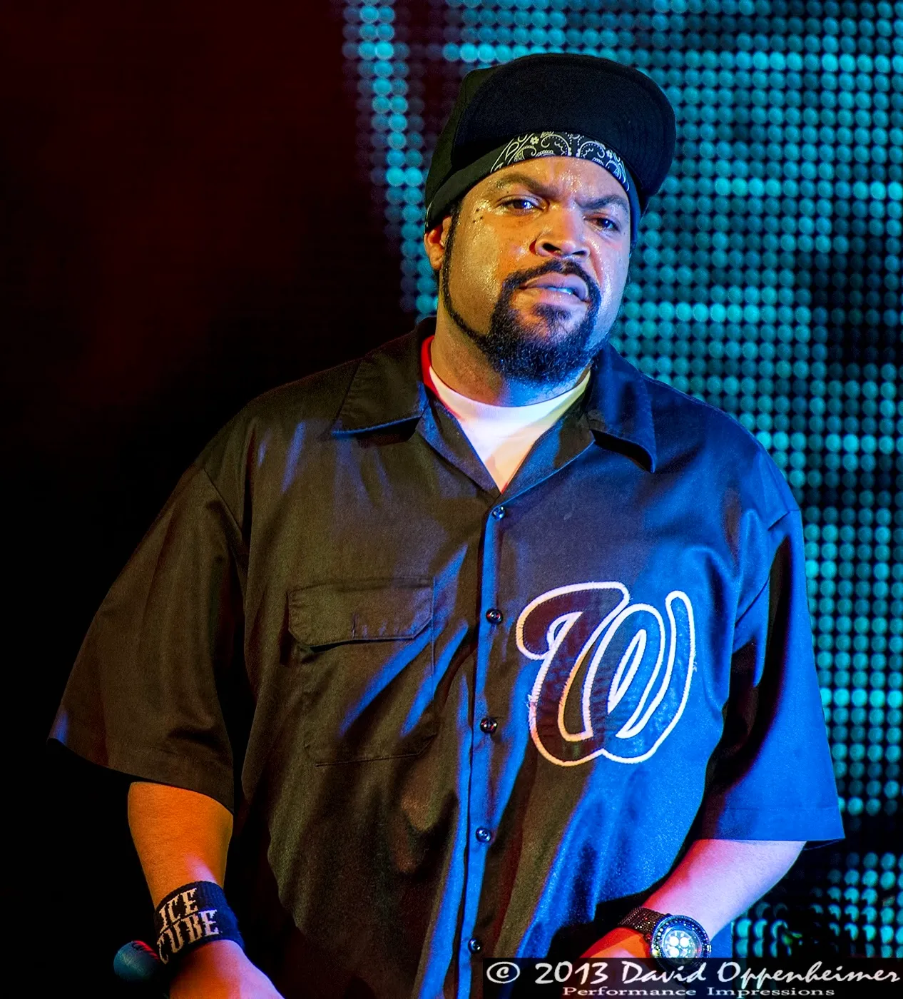 Ice Cube 2013