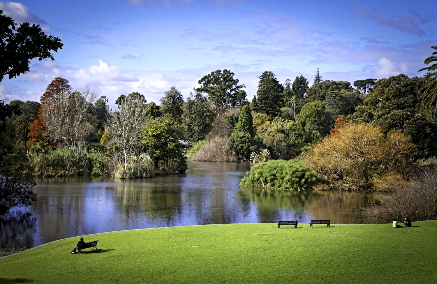 Королевские Ботанические сады Мельбурна
