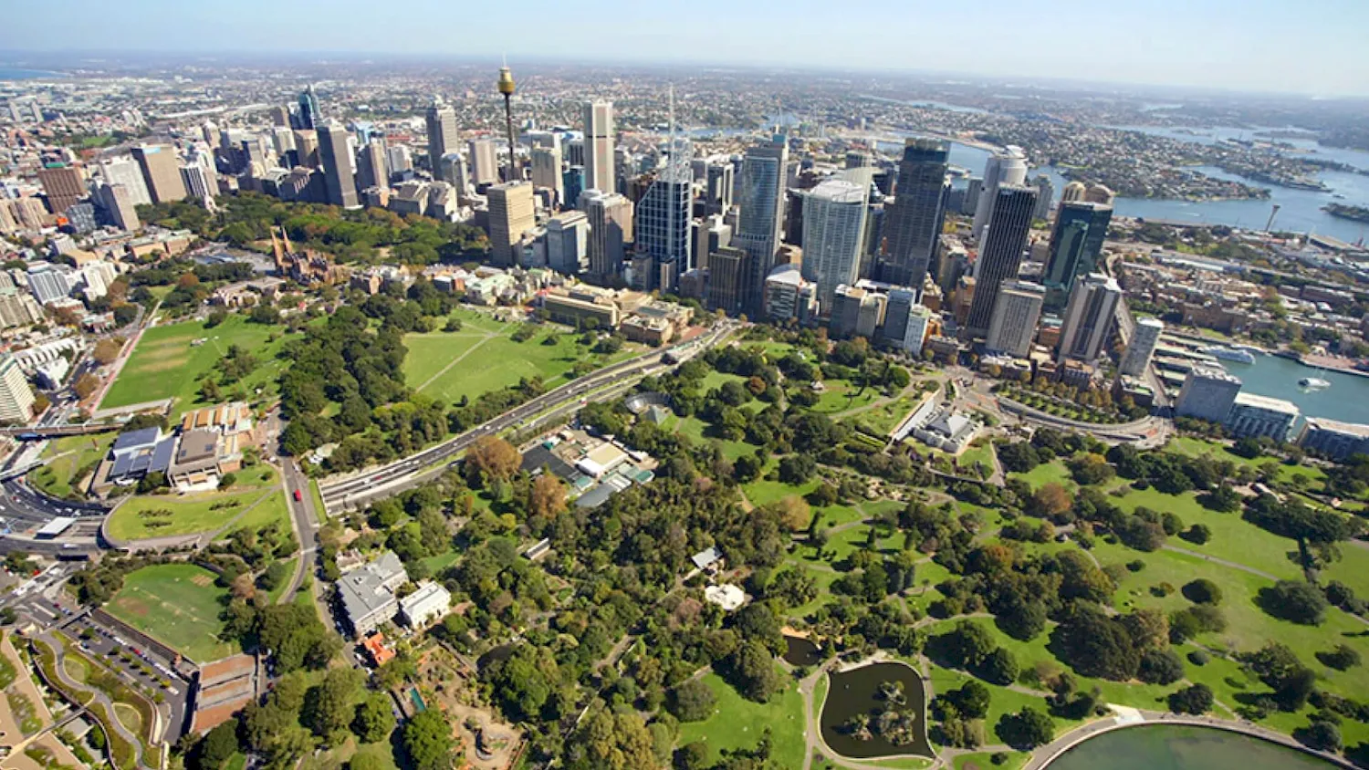 Королевский Ботанический сад Сидней