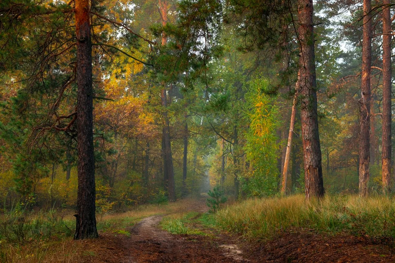 Осень пейзаж Терем фото