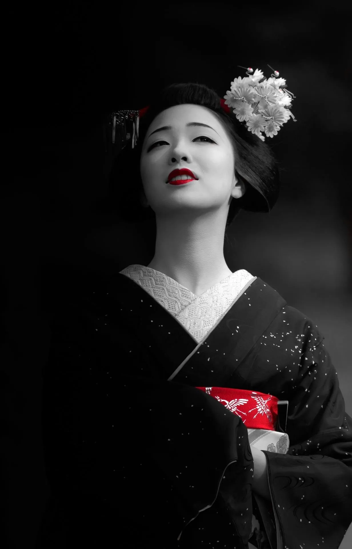 Самая красивая гейша Японии