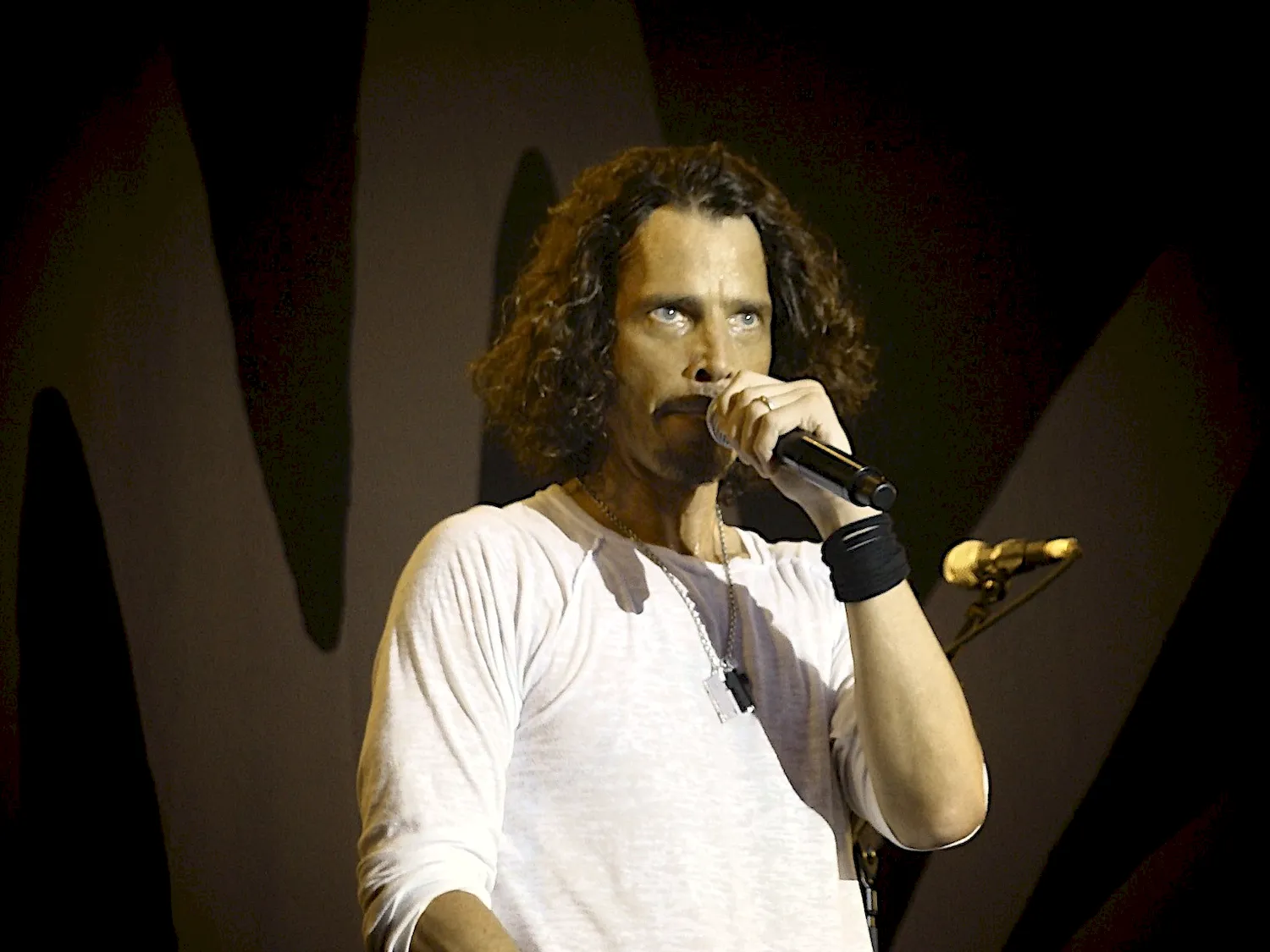 Soundgarden солист
