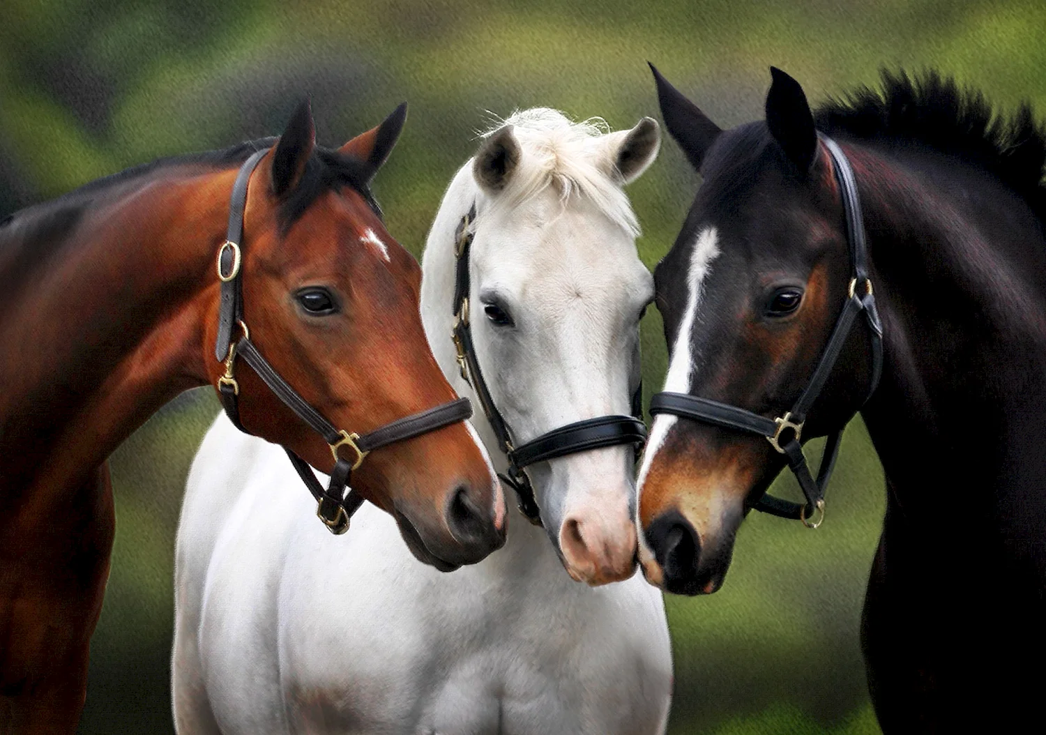 3 Лошади