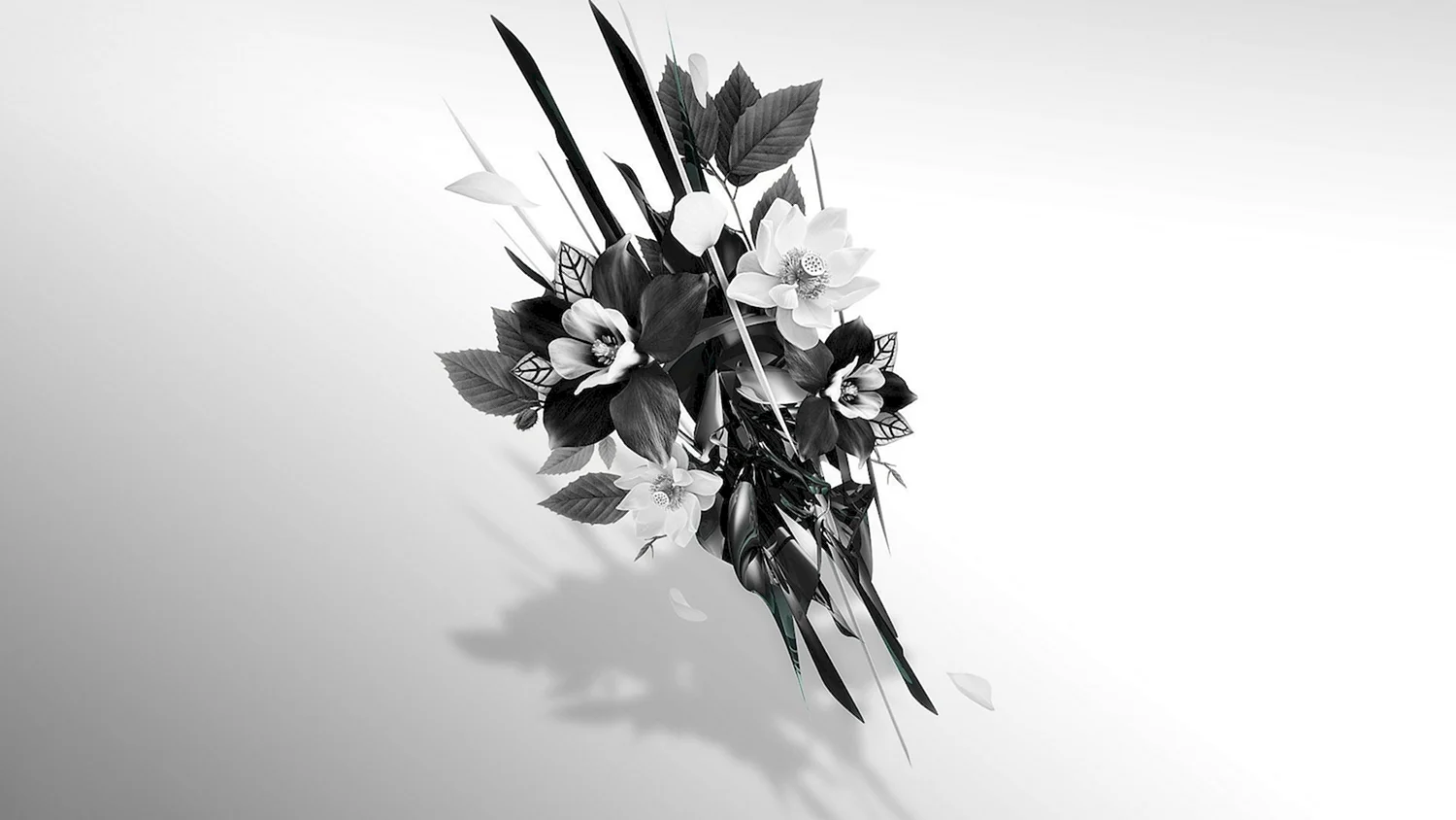 Абстракция в черно-белом цвете