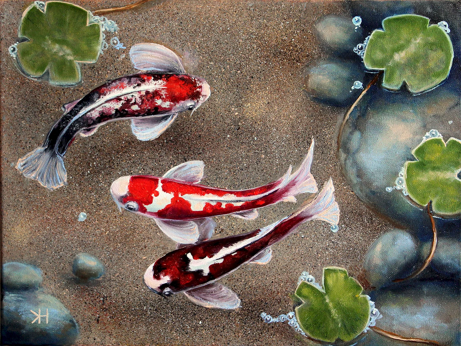Аквариумные рыбки японские карпы
