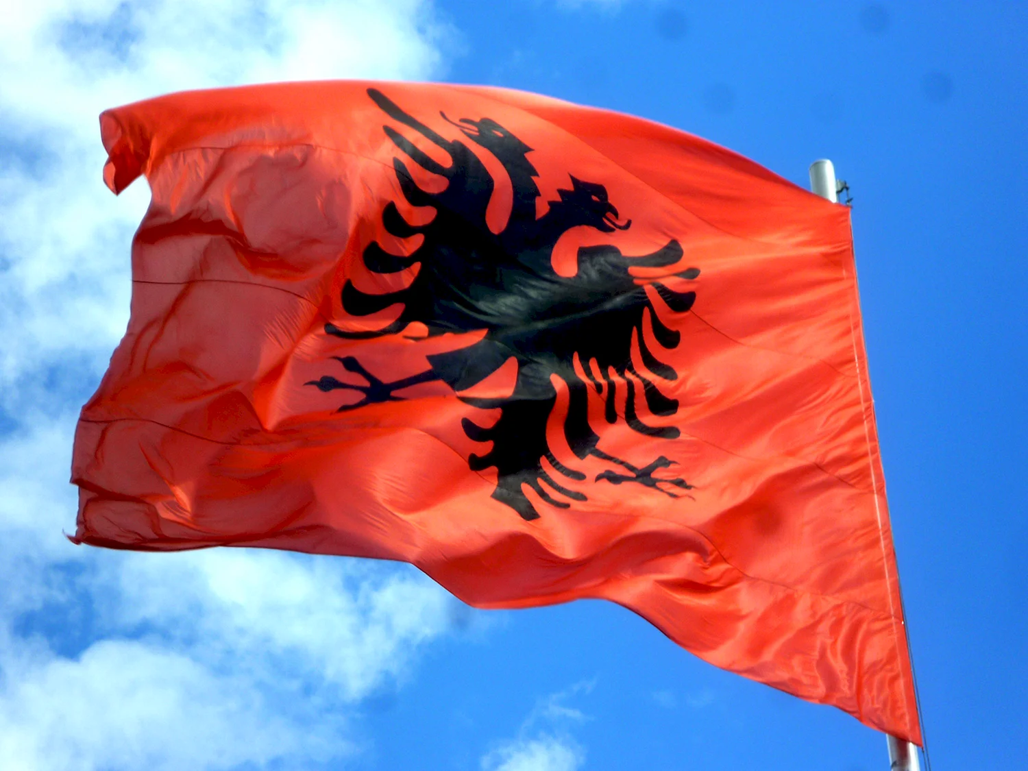 Албанцы флаг