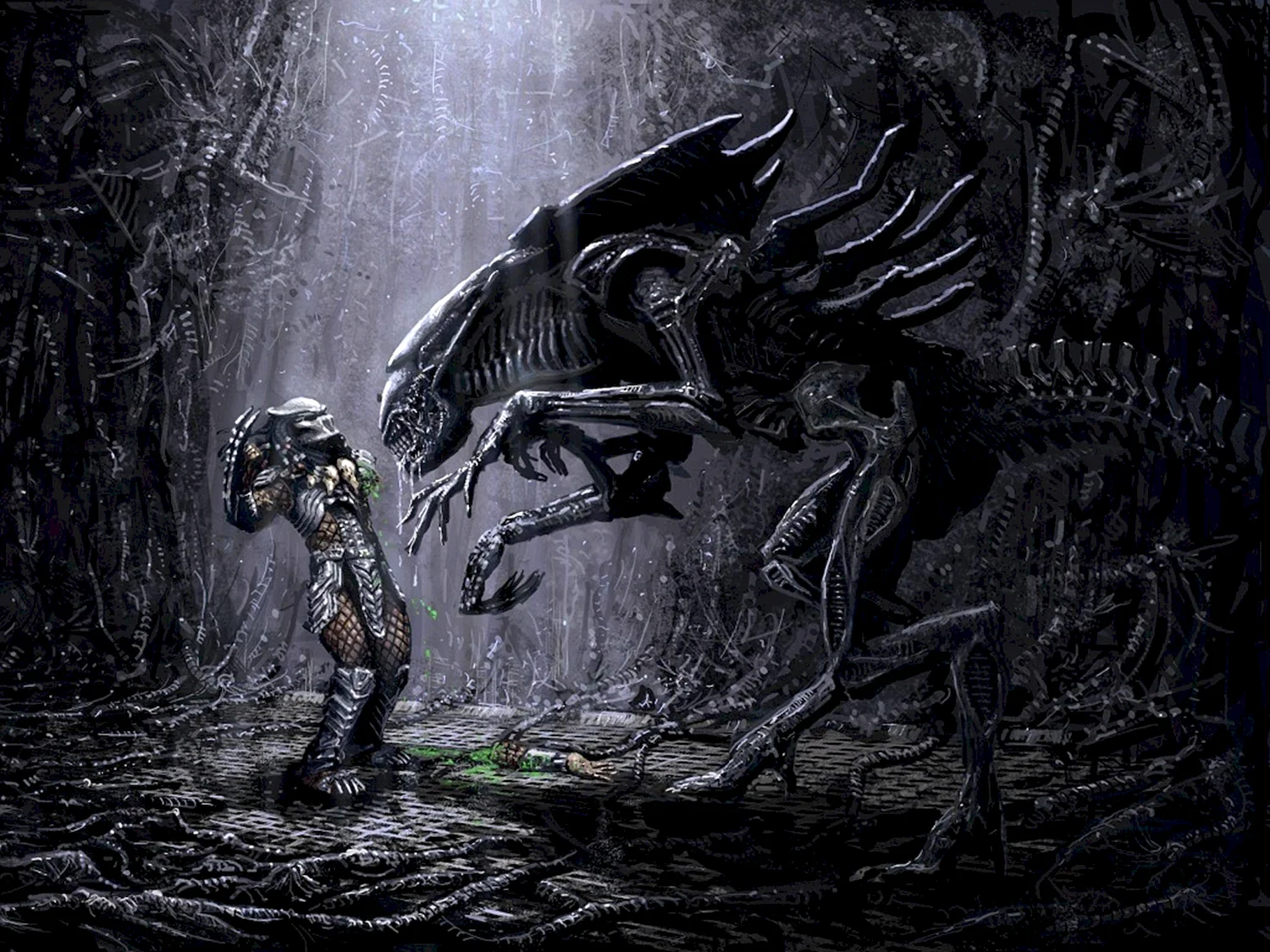Alien vs Predator арт
