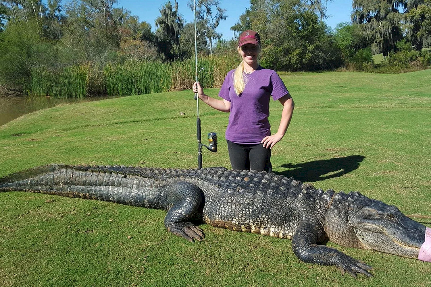 Аллигатор крокодил самый большой