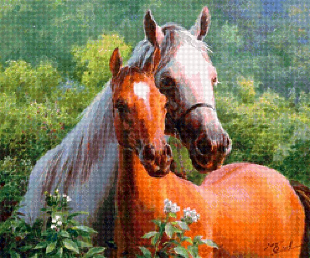 Алмазная мозаика Mazari лошадь