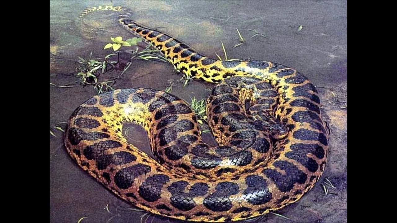 Анаконда змея самая большая