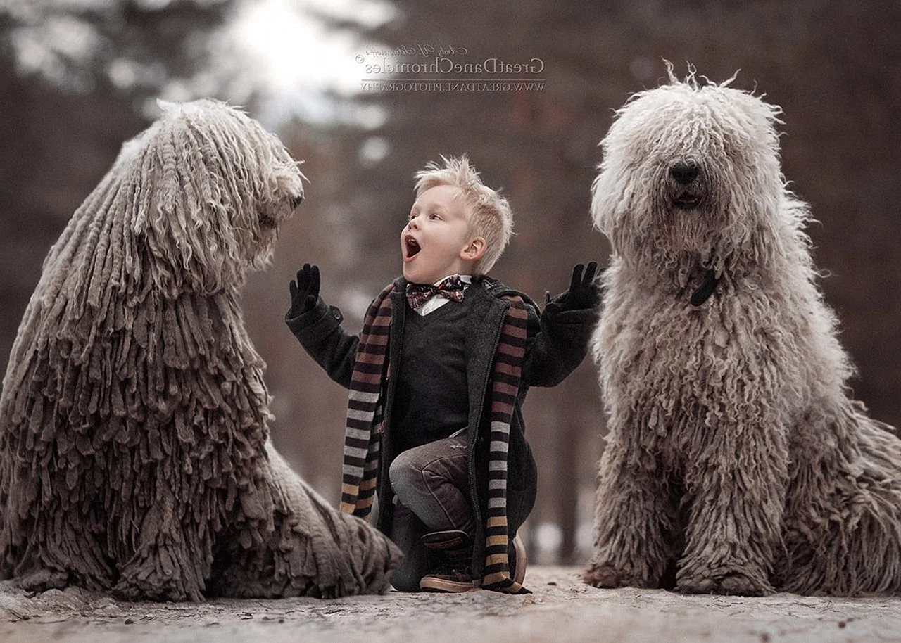 Андрей Селиверстов маленькие дети и их большие собаки
