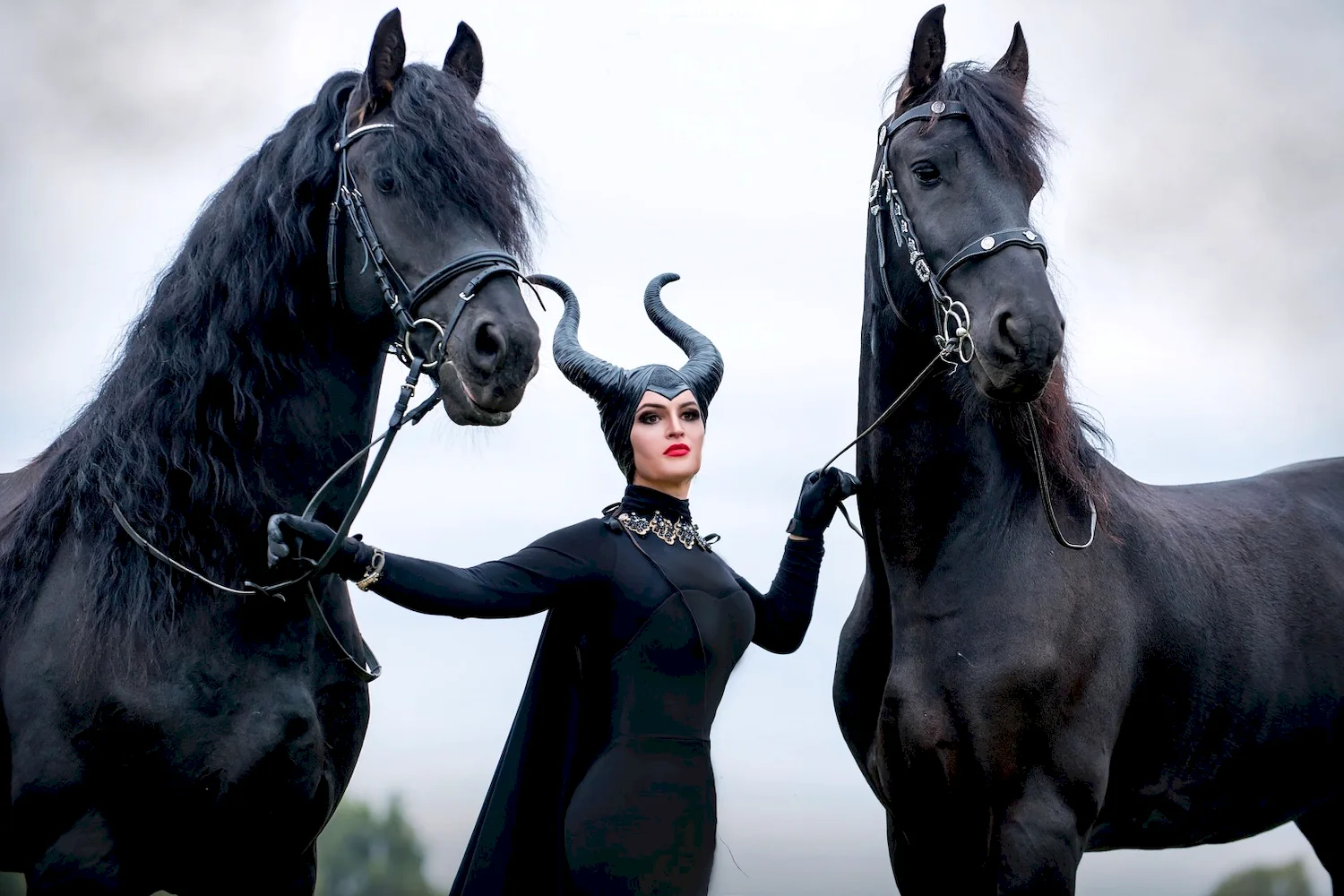 Анджелина Джоли с лошадью