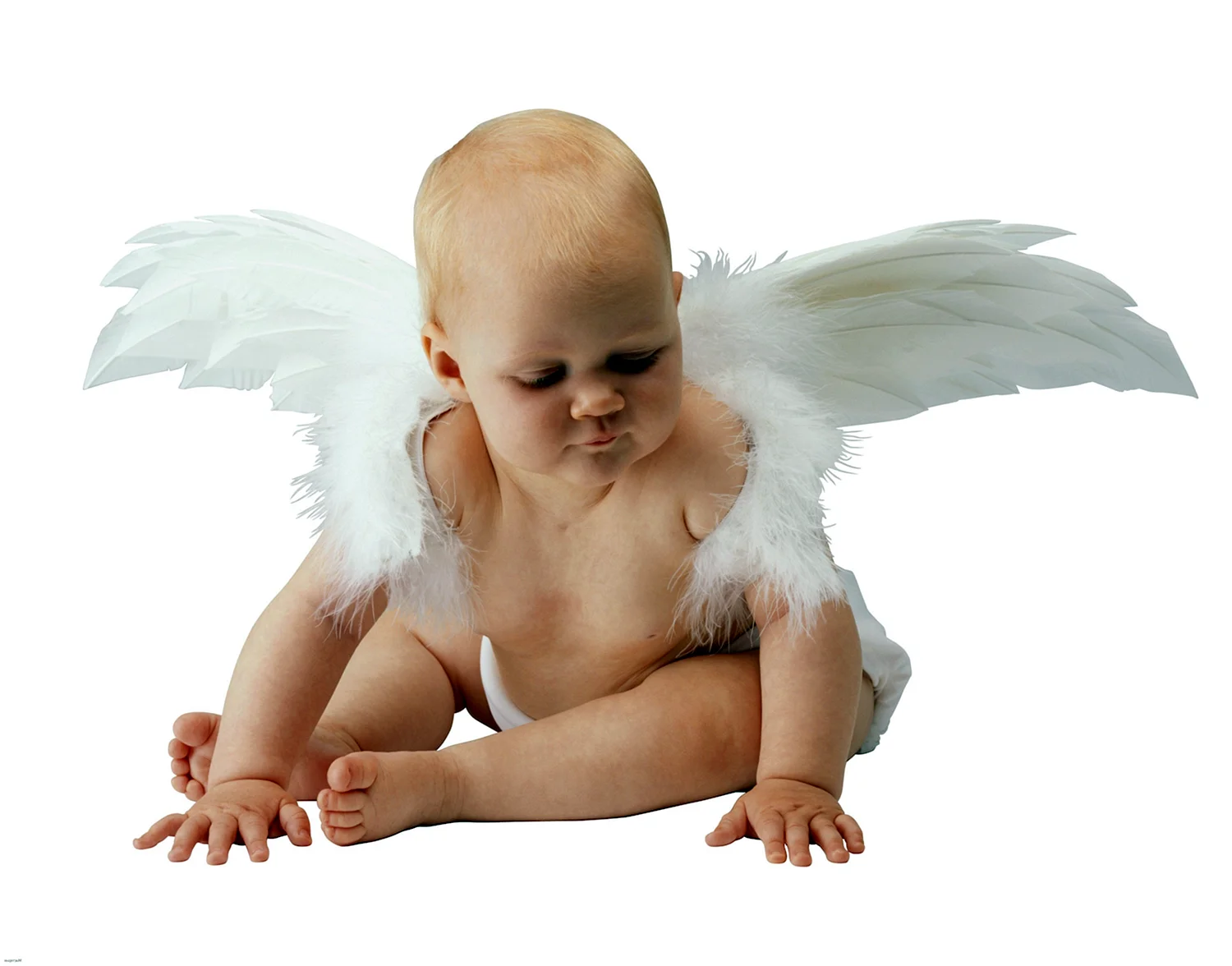 Ангел малыш