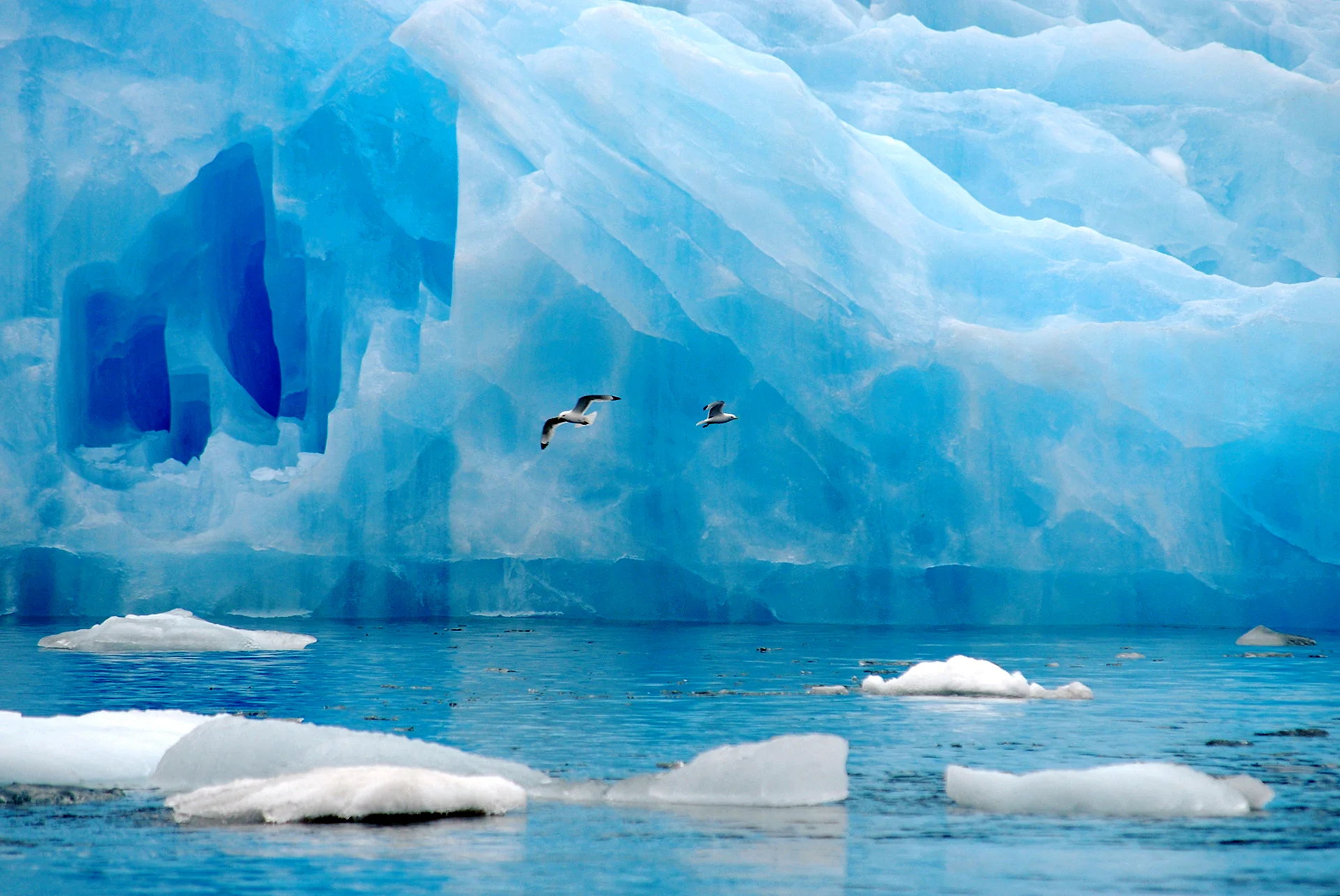 Антарктика и Северный полюс