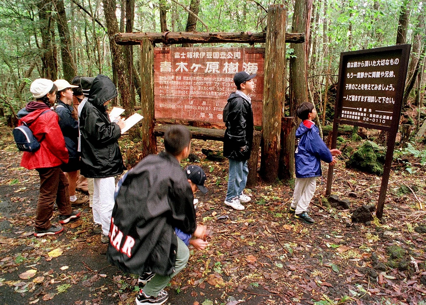 Аокигахара - лес самоубийств в Японии
