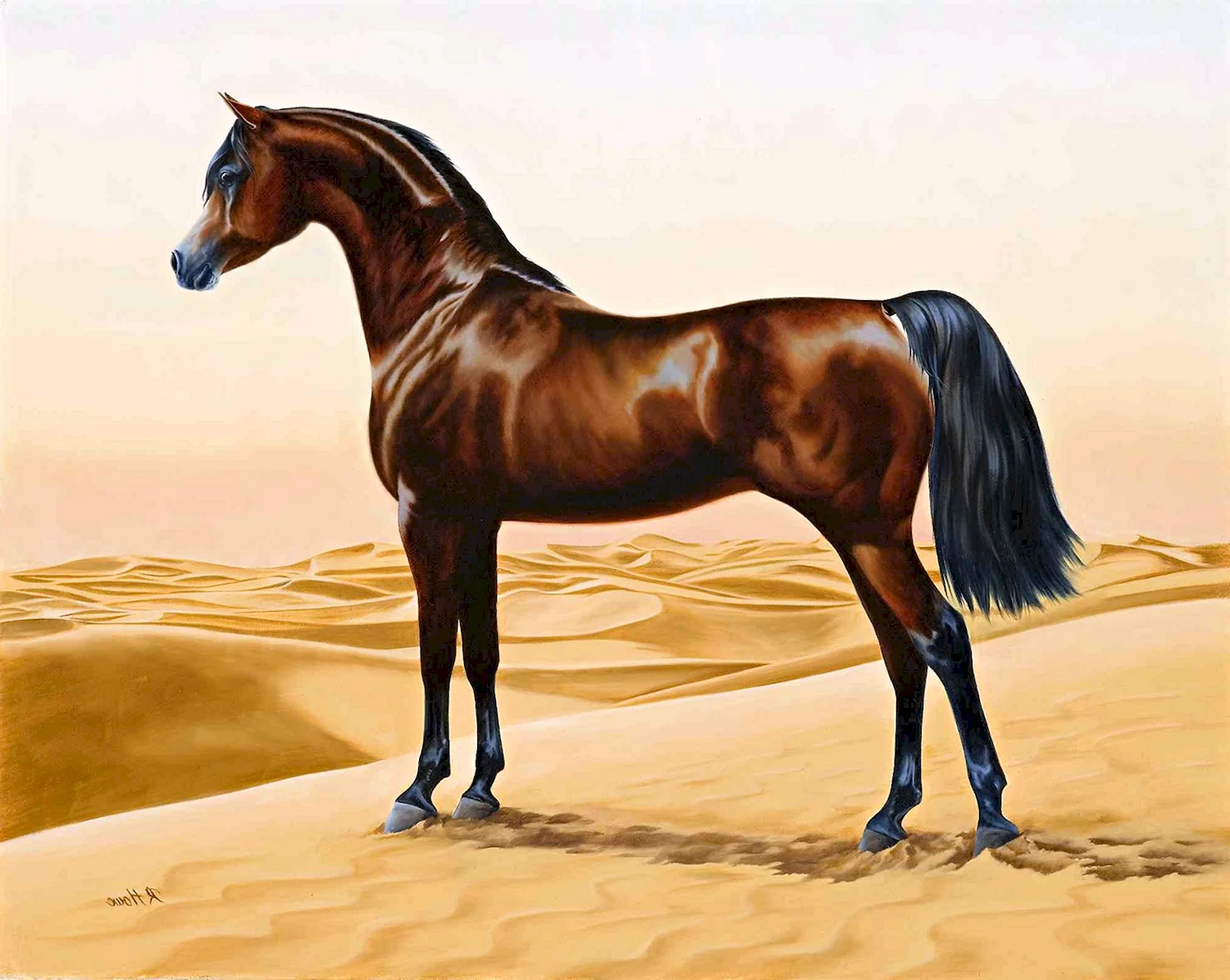 Арабская лошадь пейнт