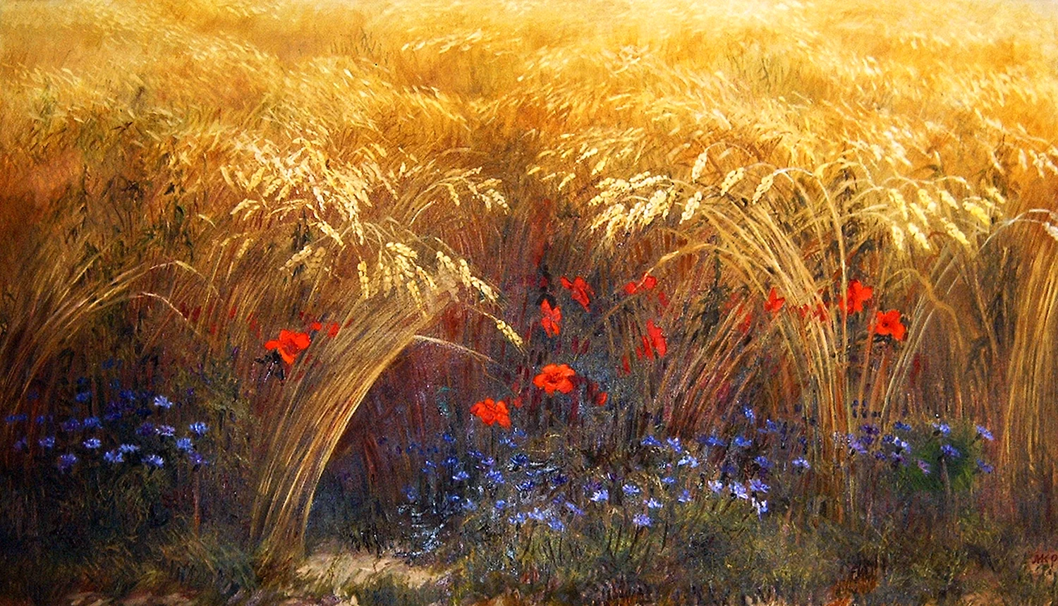 Аркадий Олейник картины пшеничное поле