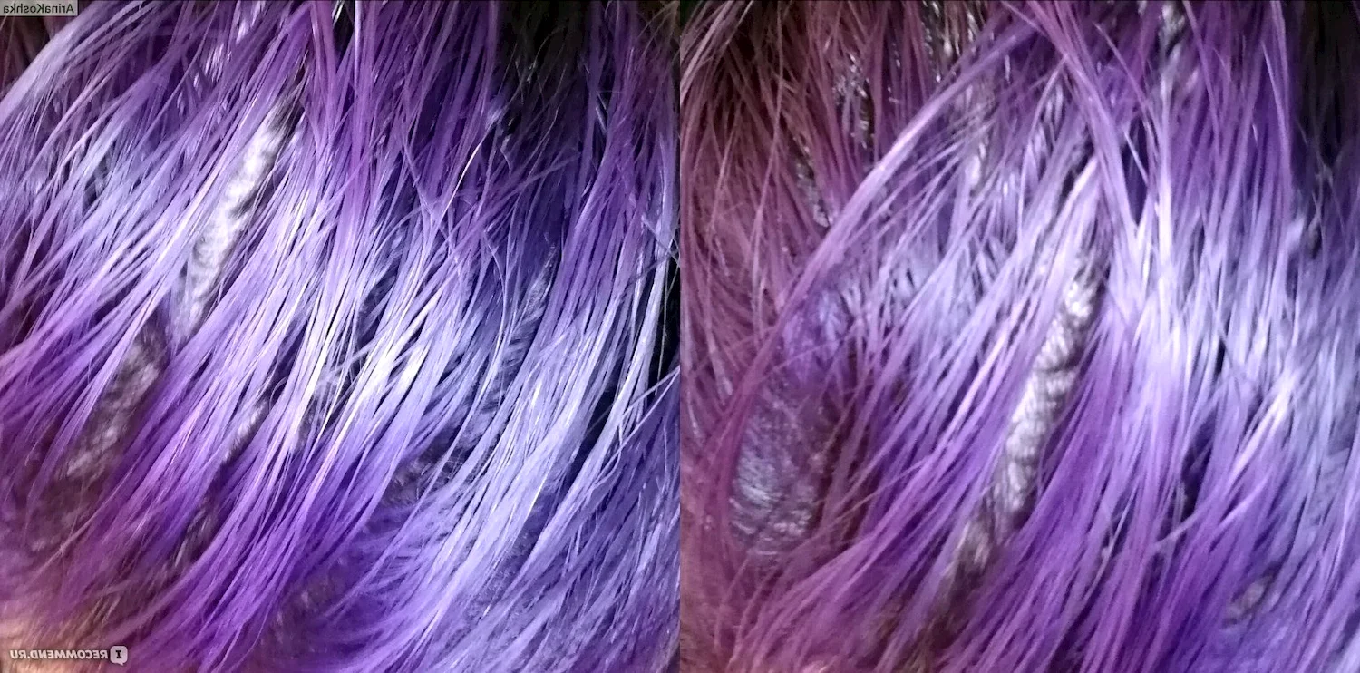 Арктический блонд цвет фиолетовый