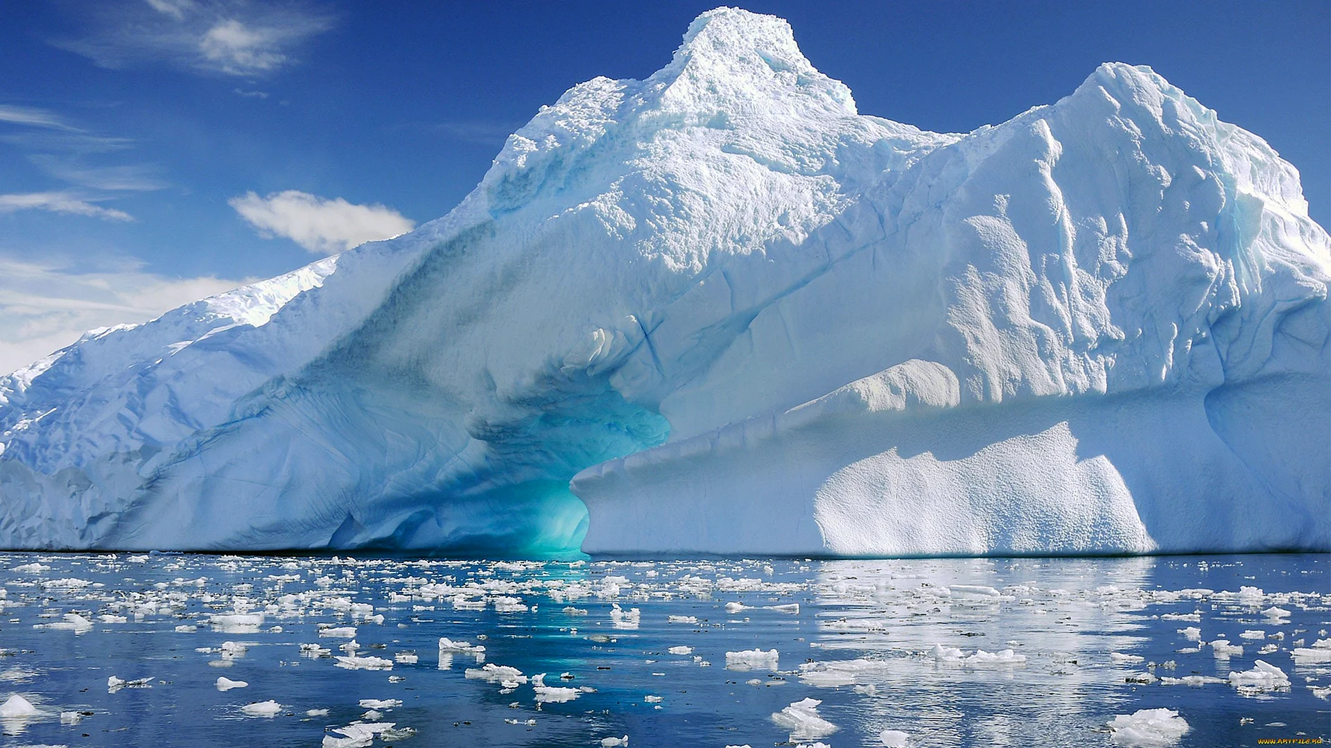 Арктический и антарктический пояса