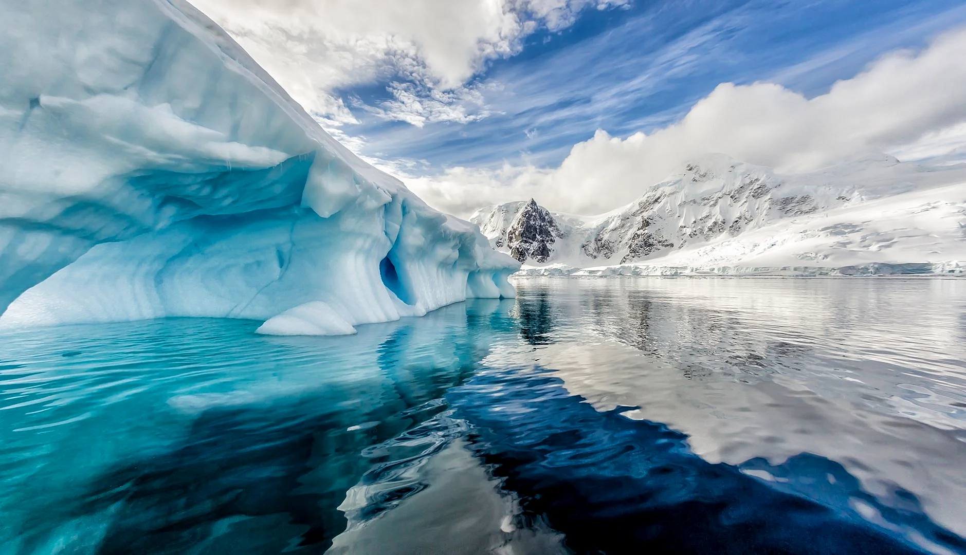 Арктика и Антарктика