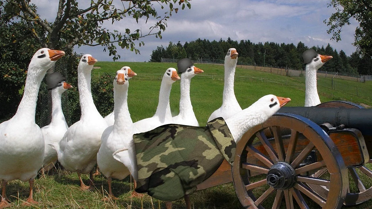 Армия гусей
