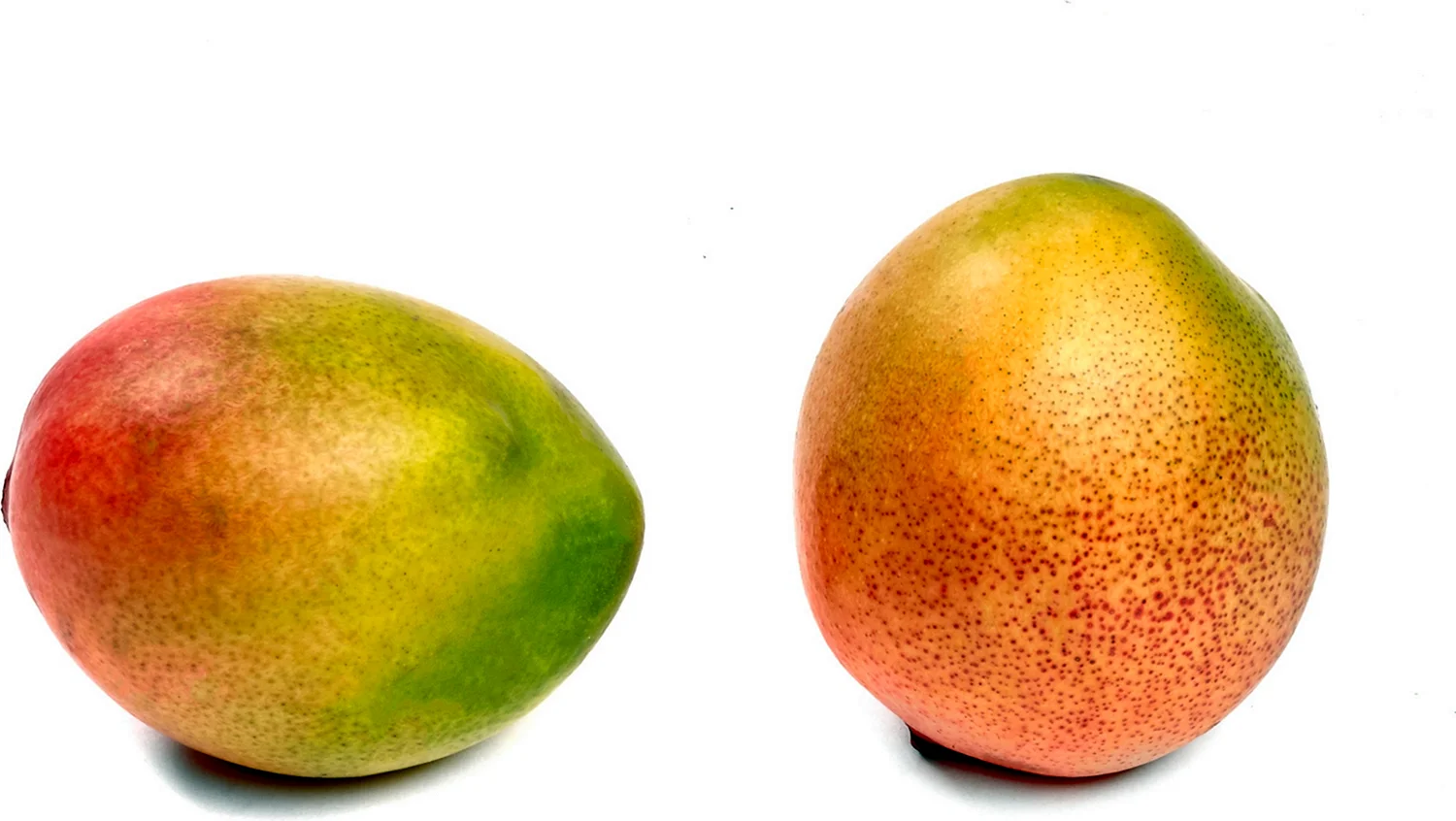 Artfruit манго