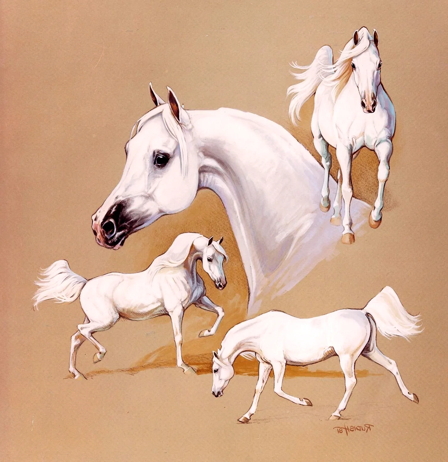 Арты лошадей