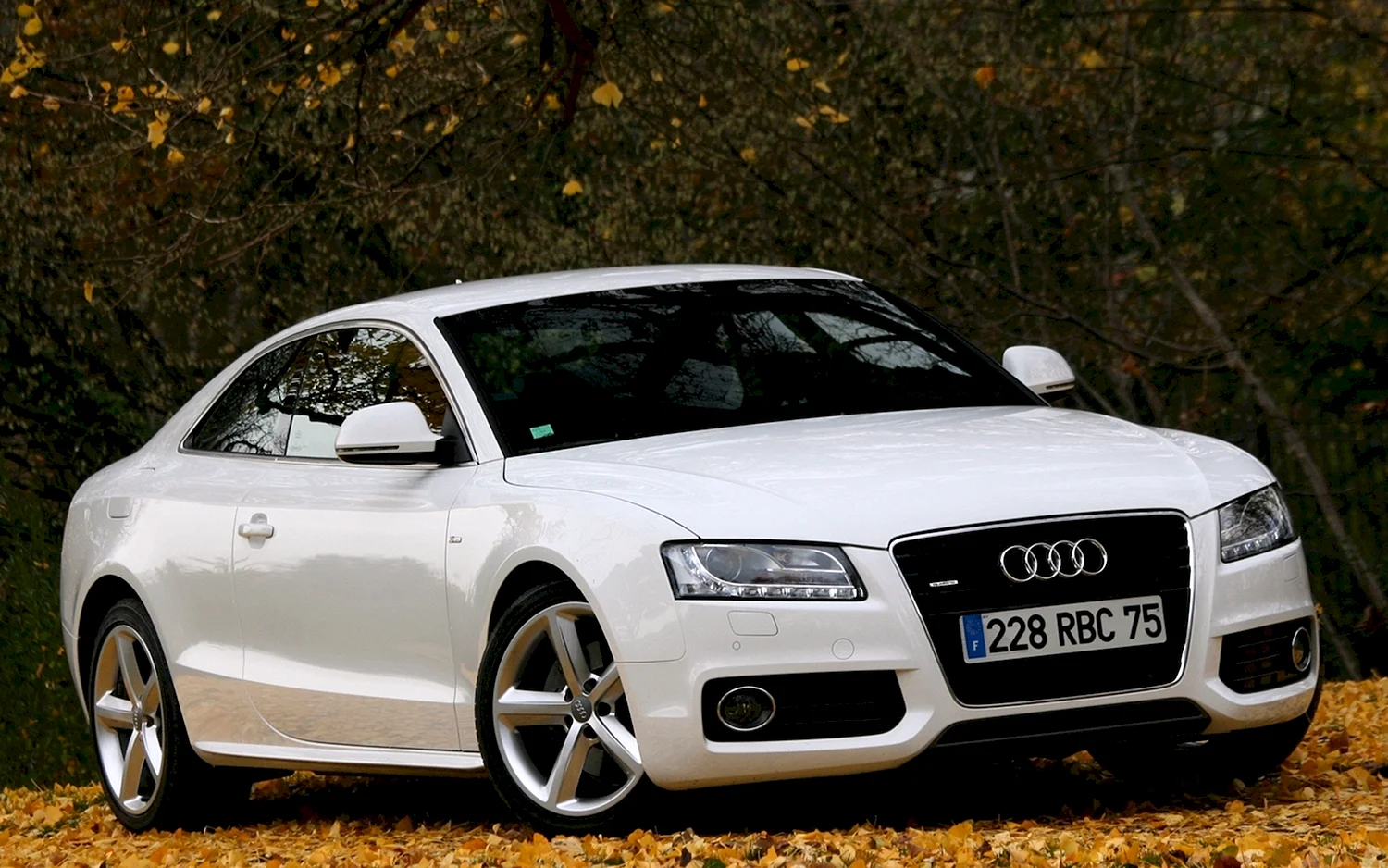Audi a5 White