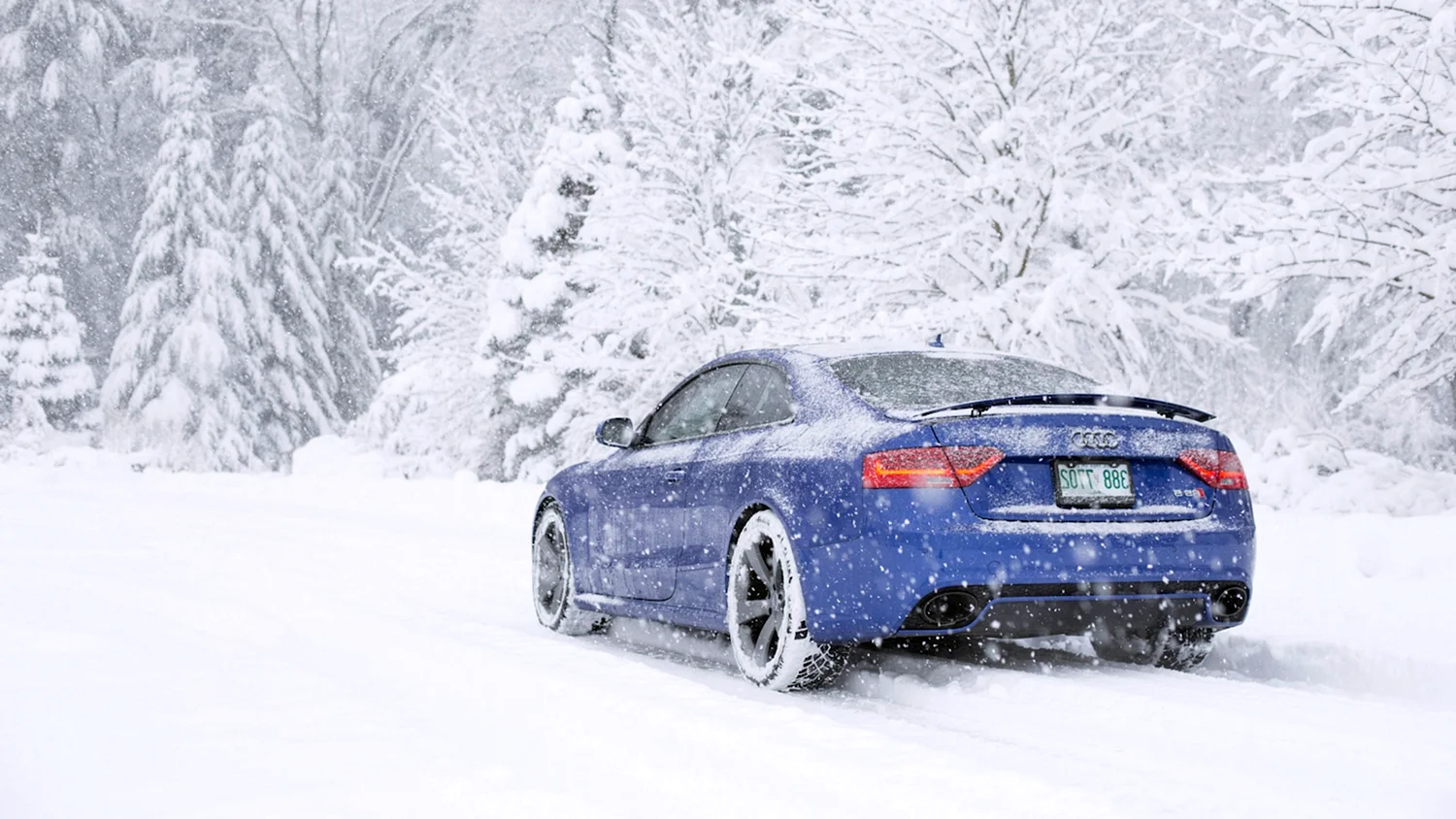 Audi Winter rs5