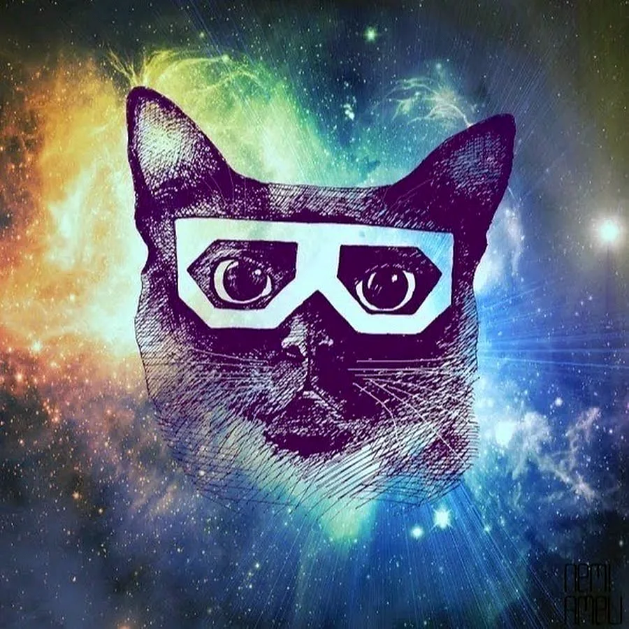 Аватарка кот в очках