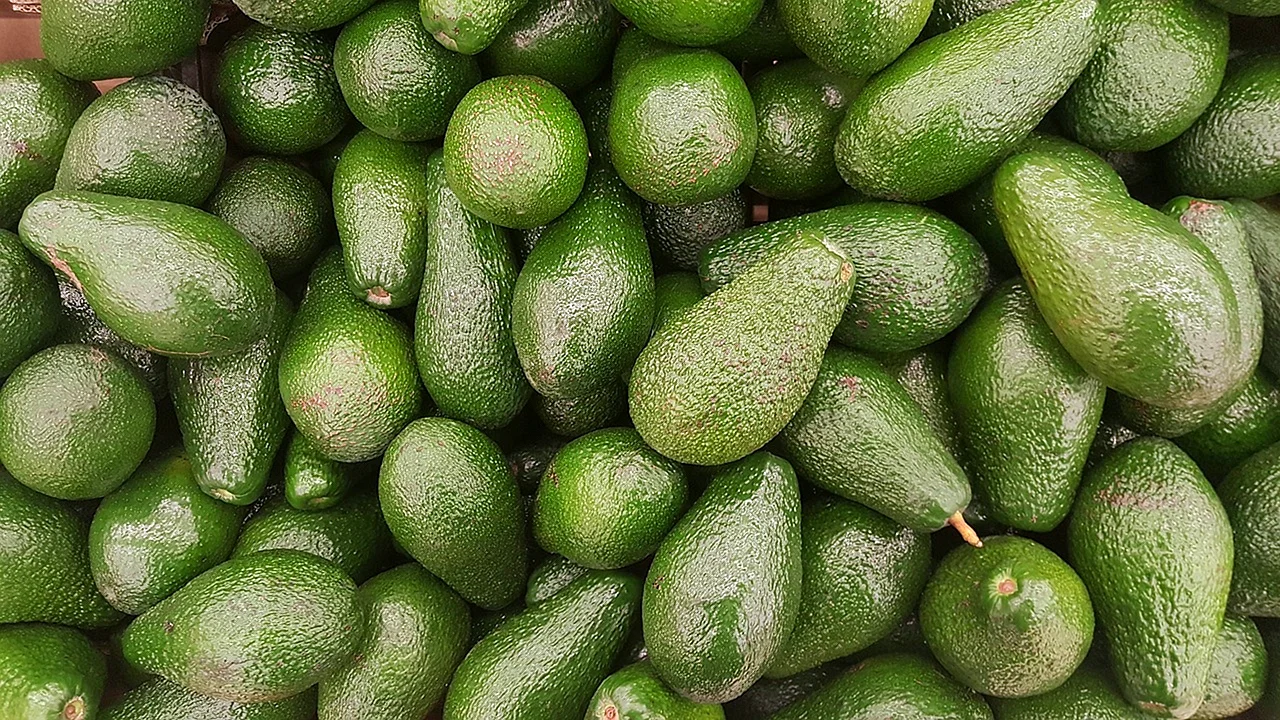 Авокадо фрукт