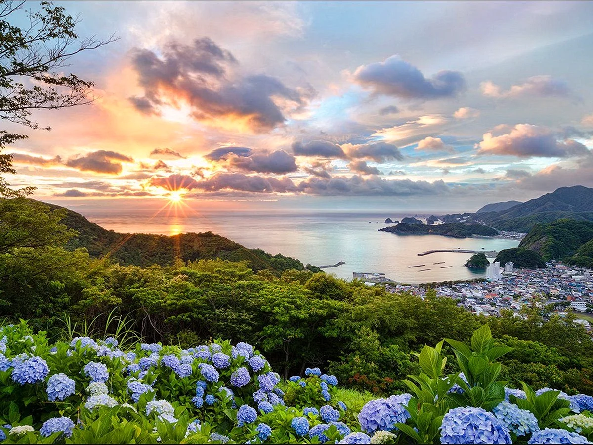 Азорские острова цветы