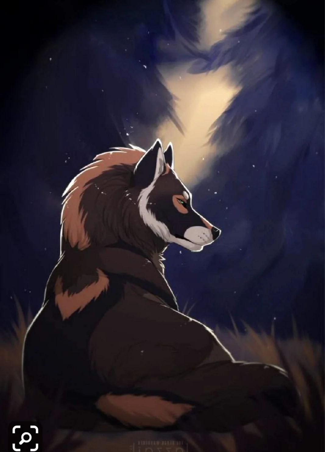 Azzai Wolf Fox