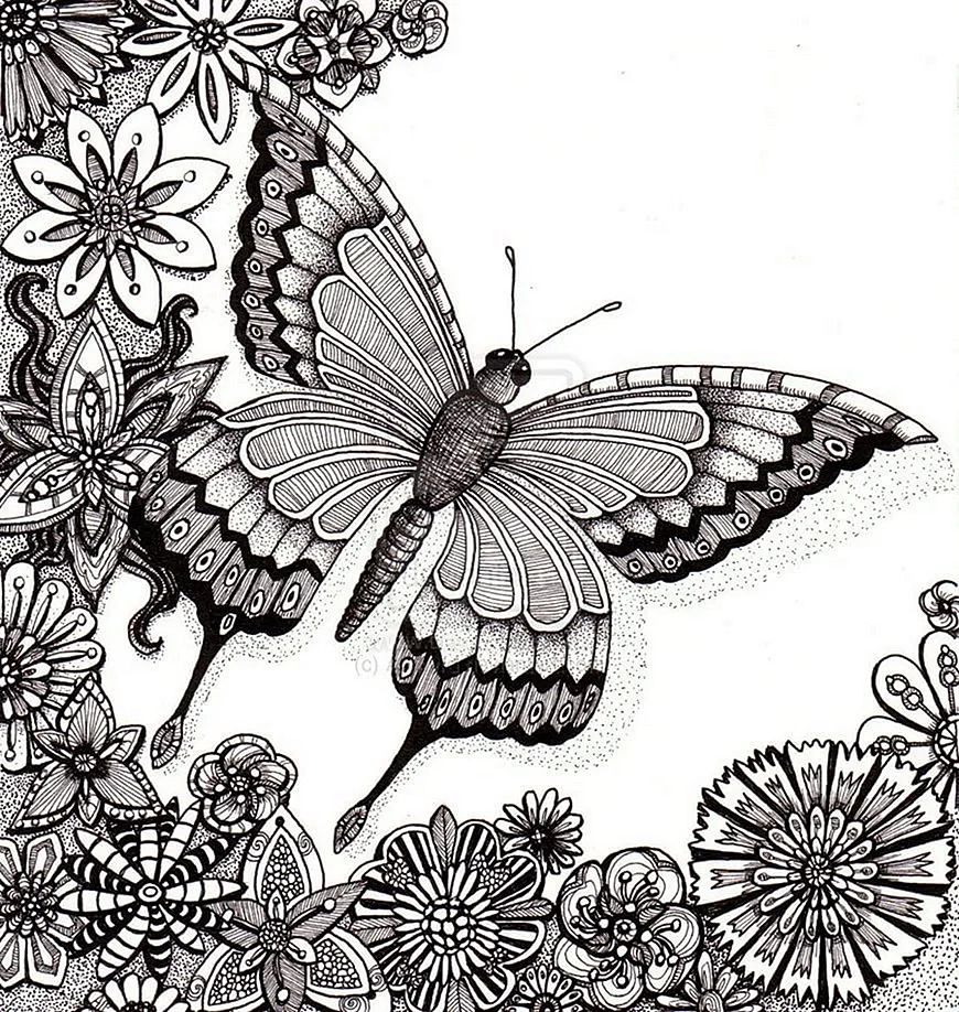 Бабочка Зентангл дудлинг