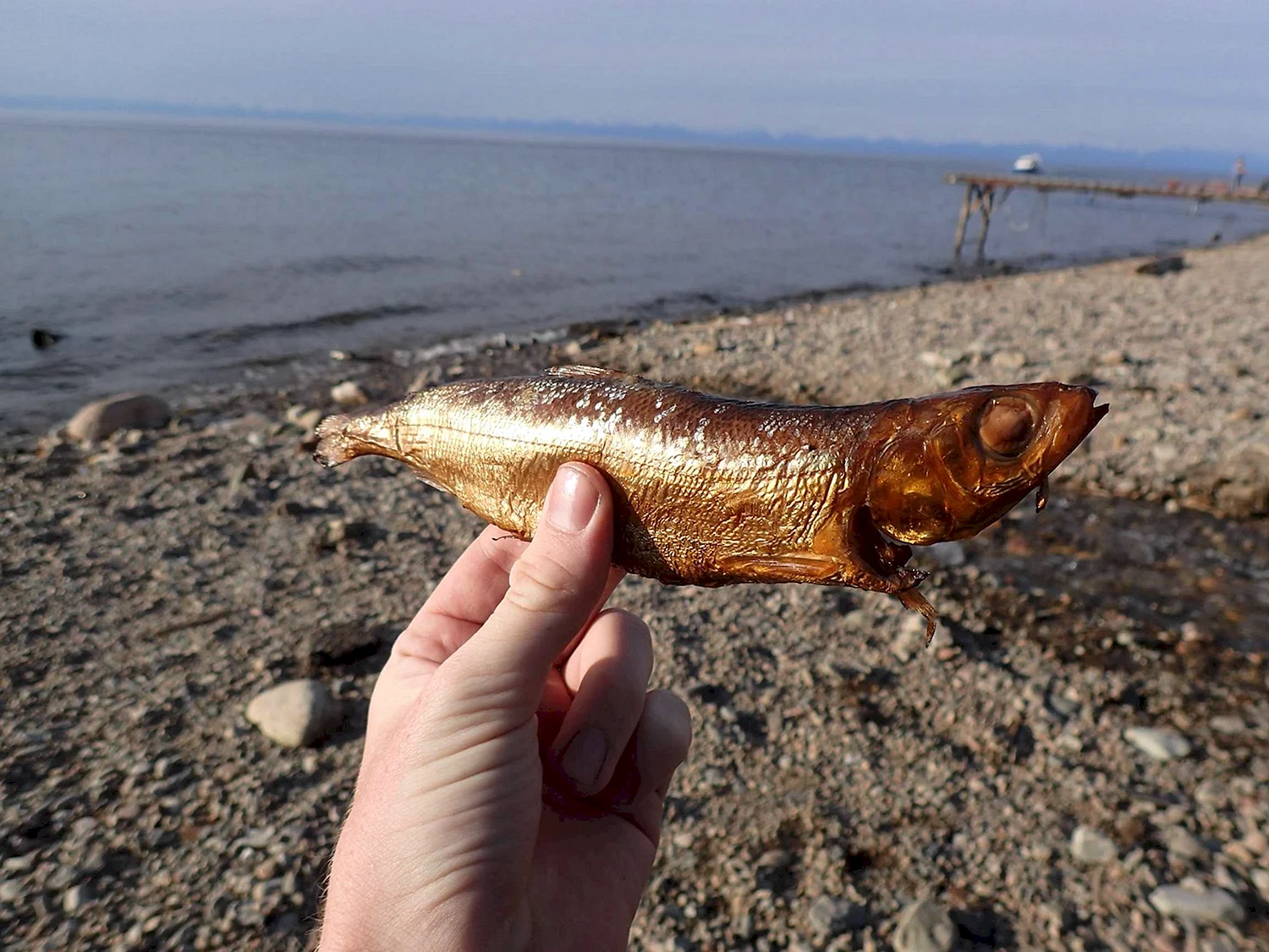 Байкальская рыба