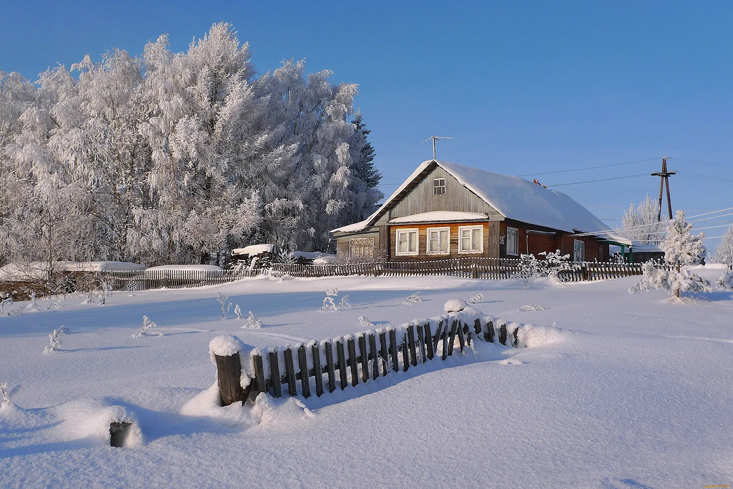 Барсуково деревня зимой Вологодской