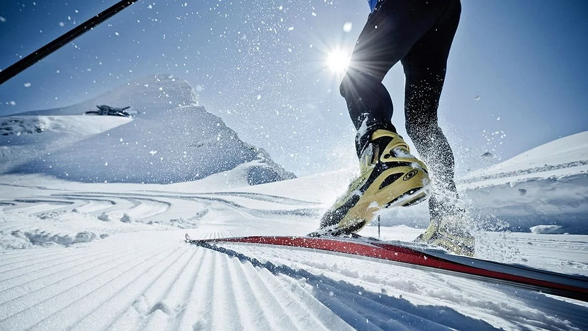 Беговые лыжи спорт