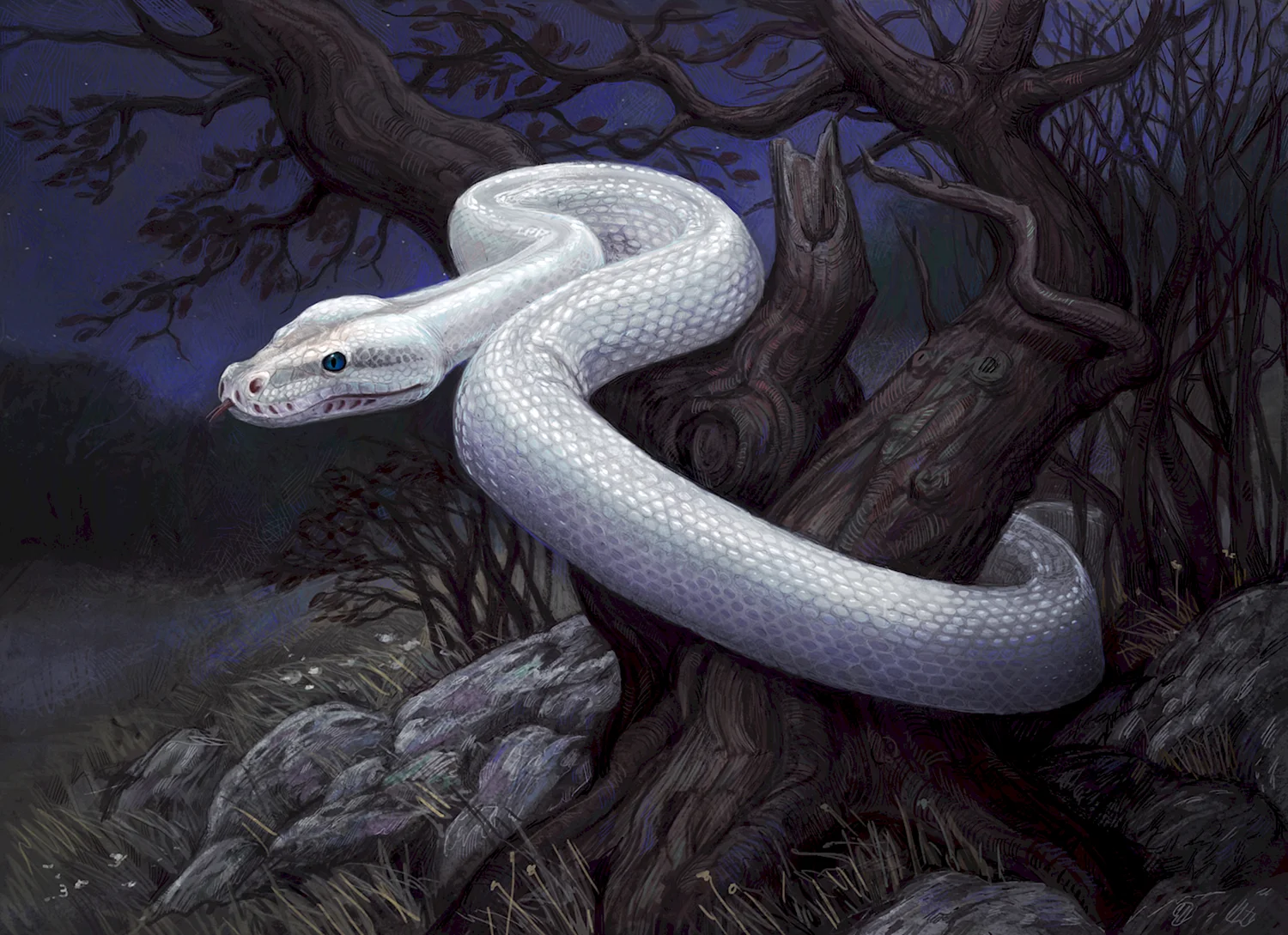 Белая змея братья Гримм