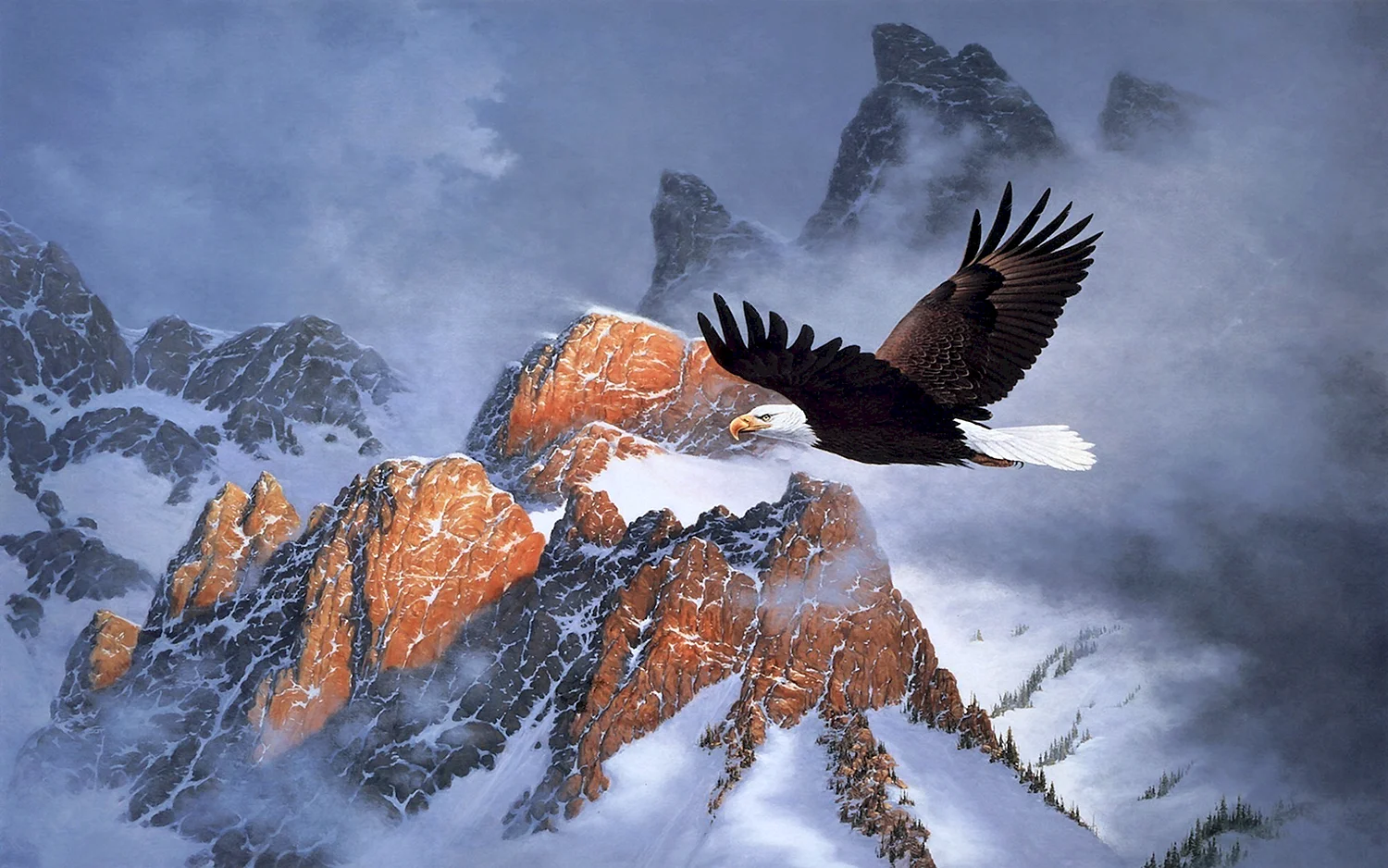 Белоголовый Орлан в горах