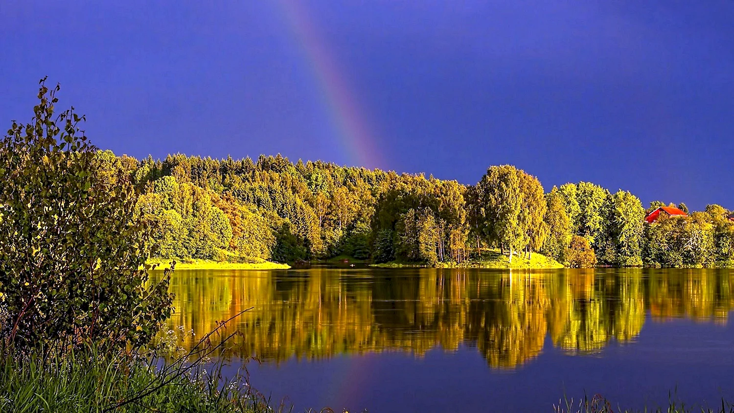 Белорусия Лесные озёра Радуга