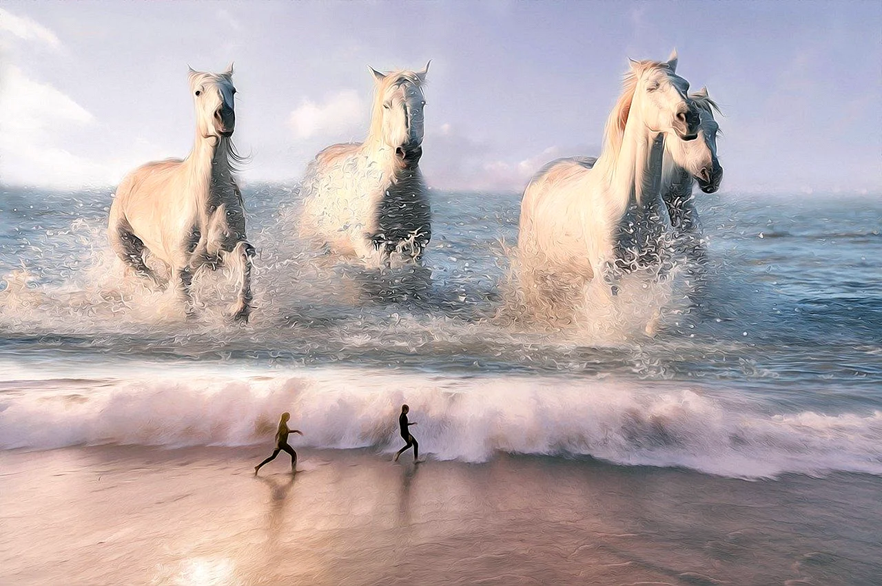 Белые лошади на берегу