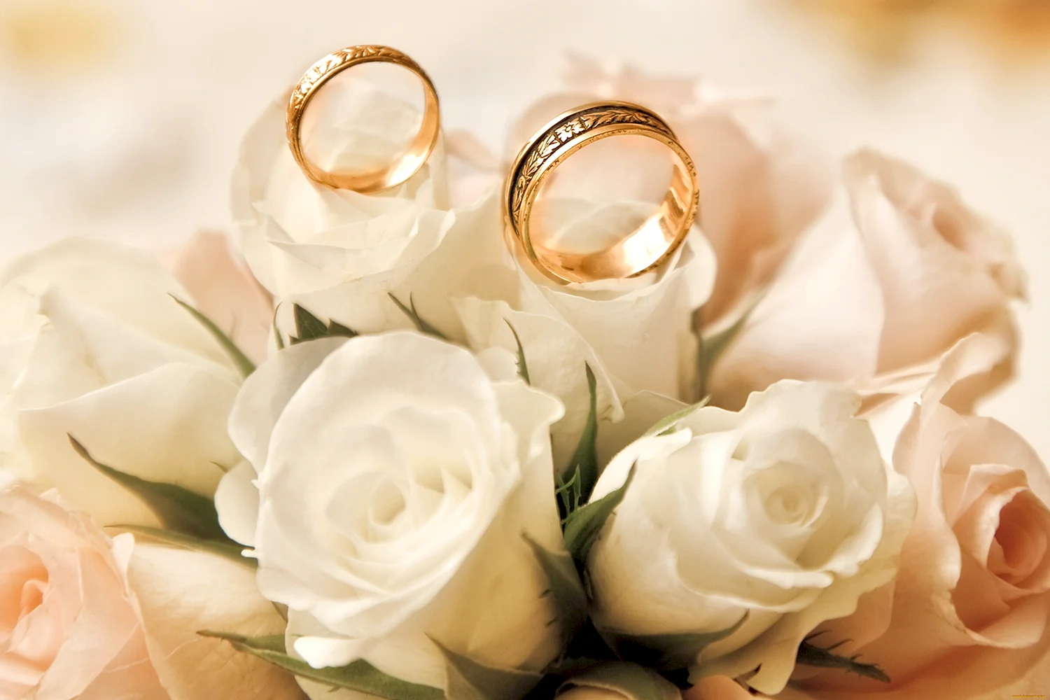 Белые розы с кольцом