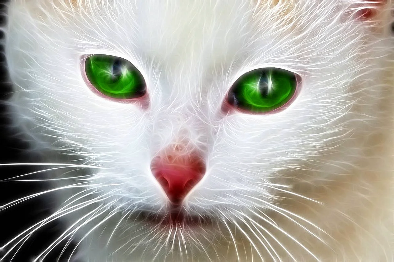 Белый котик с зелеными глазами