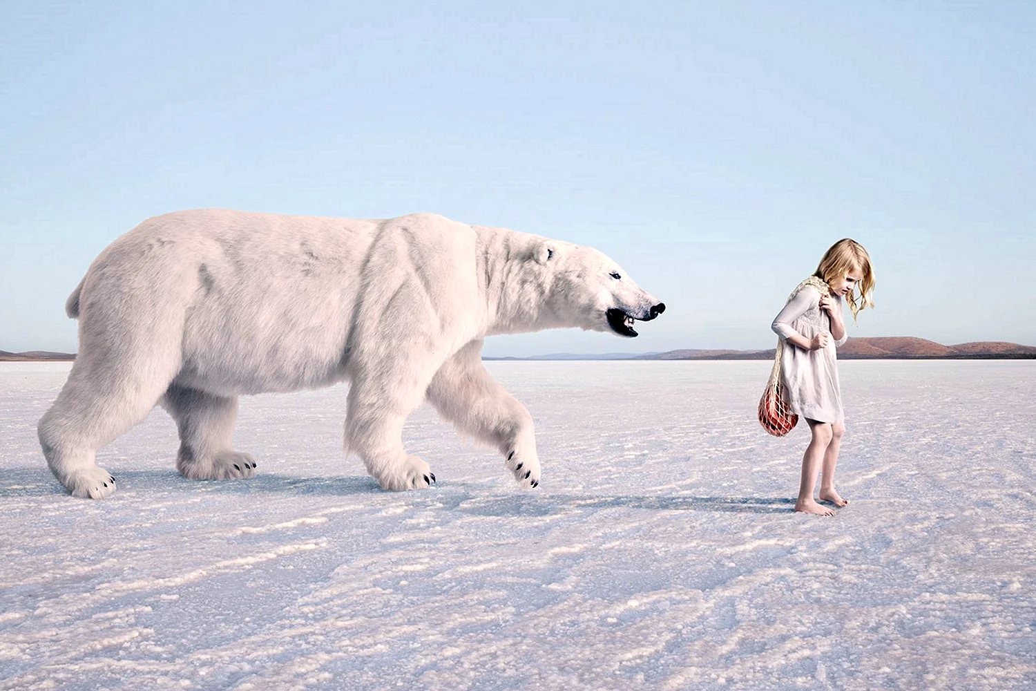 Белый медведь и человек