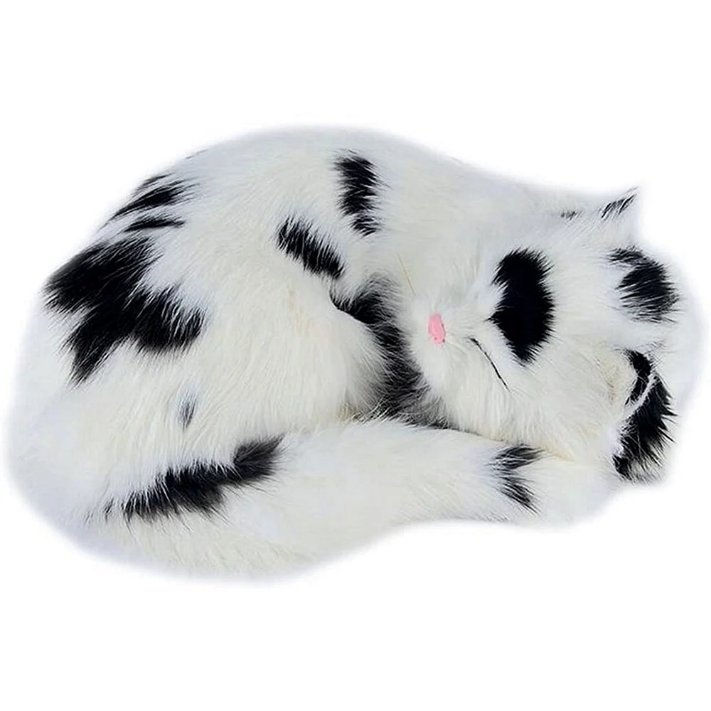 Белый мех кошки