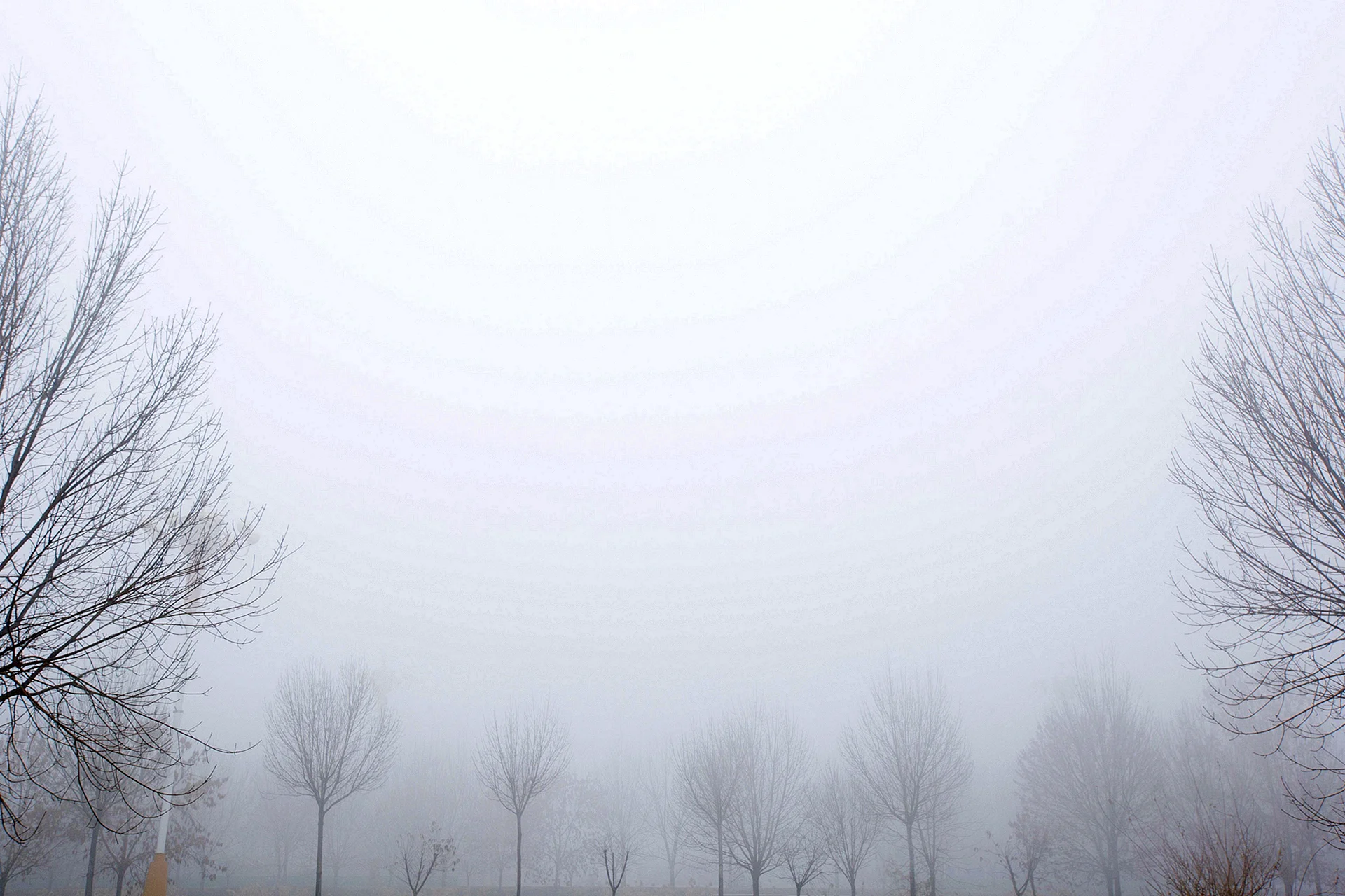 Белый туман